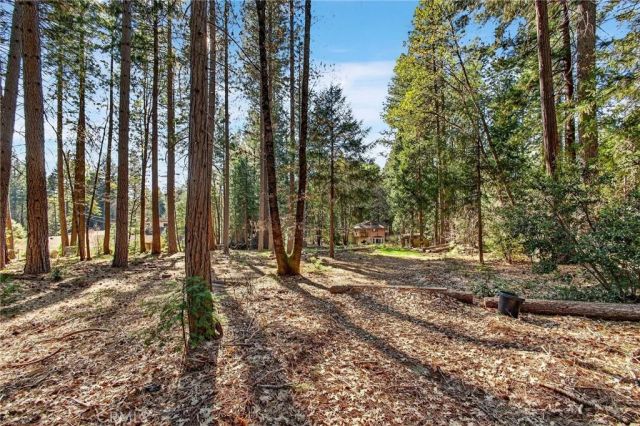 15220 Skyway, Magalia, CA 95954