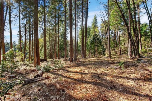 15220 Skyway, Magalia, CA 95954