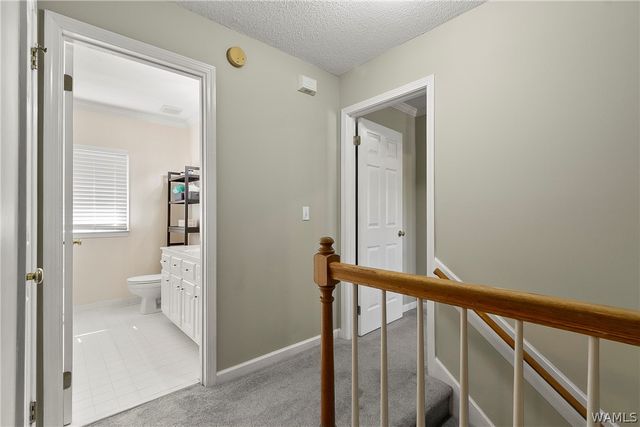 8717 Waverly, Tuscaloosa, AL 35405