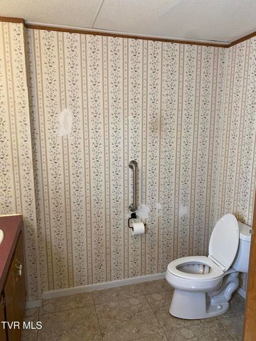 523 Dean Archer Road, Jonesborough, TN 37659