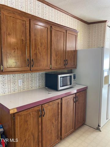 523 Dean Archer Road, Jonesborough, TN 37659