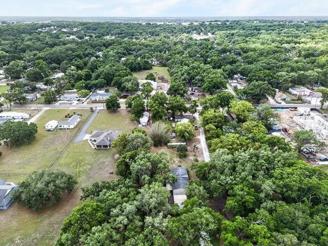 11809 DUNWOODIE MANOR DRIVE, Thonotosassa, FL 33592