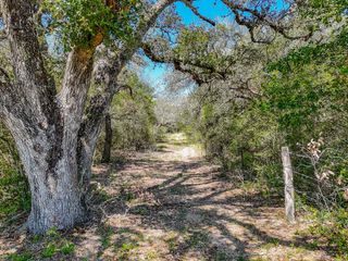 TBD7 County Road 19 Tract 7 Road, Garwood, TX 77442