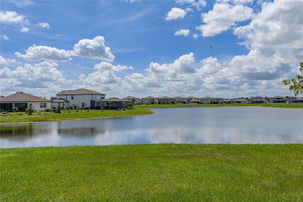 Image 51 of property listing at 3062 LIVING CORAL STREET, Wimauma, FL 33598