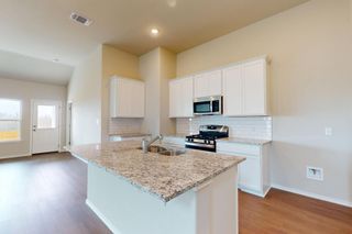 20005 Hirono DR, Manor, TX 78653