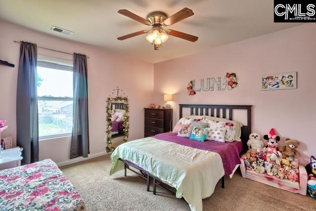 108 Pennsylvania Court, Chapin, SC 29036