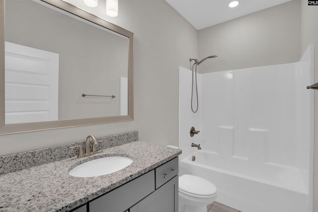 2124 Ludlow Place, Chapin, SC 29036