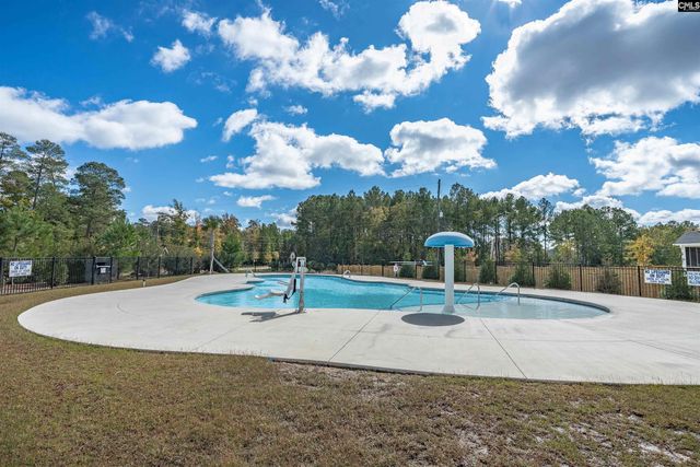 2124 Ludlow Place, Chapin, SC 29036