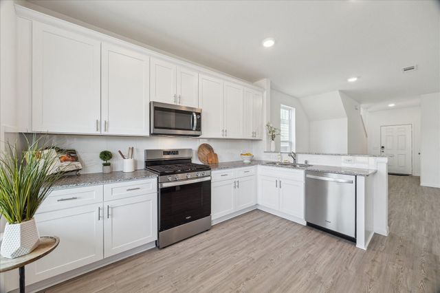 26209 Brahman Drive, Magnolia, TX 77355