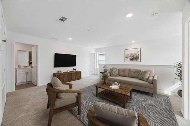 26209 Brahman Drive, Magnolia, TX 77355