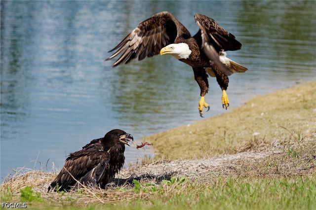 20364 Camino Torcido LOOP, North Fort Myers, FL 33917