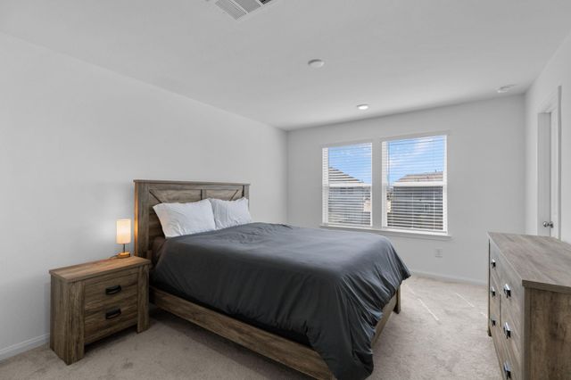 23535 Daisy Grubber Lane, Hockley, TX 77447
