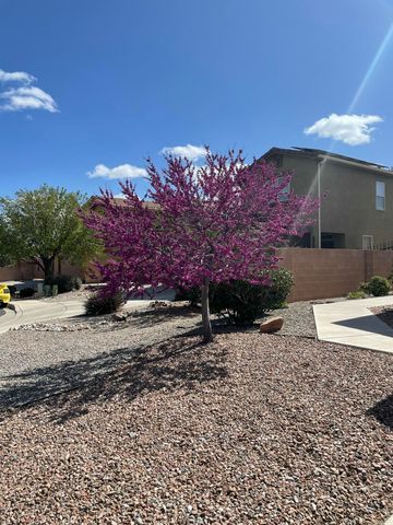 804 Mirasol Court NW, Albuquerque, NM 87120