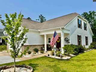 348 Amalfi Drive, Chapin, SC 29036