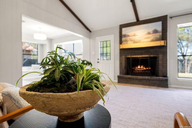 14219 Chadbourne, San Antonio, TX 78232