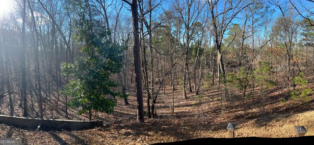 731 Jenni Lane, Manchester, GA 31816