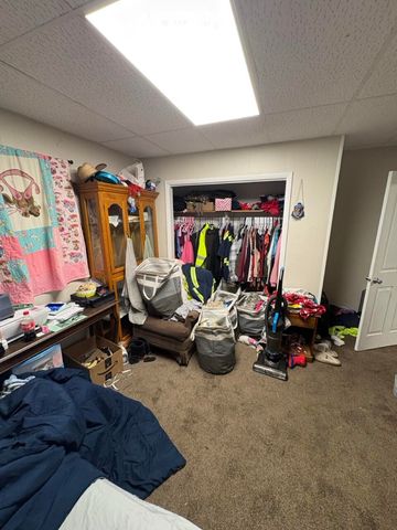 258 E Adams Street, Ionia, MI 48846