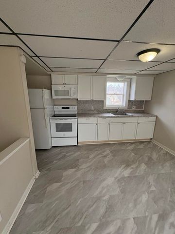 258 E Adams Street, Ionia, MI 48846