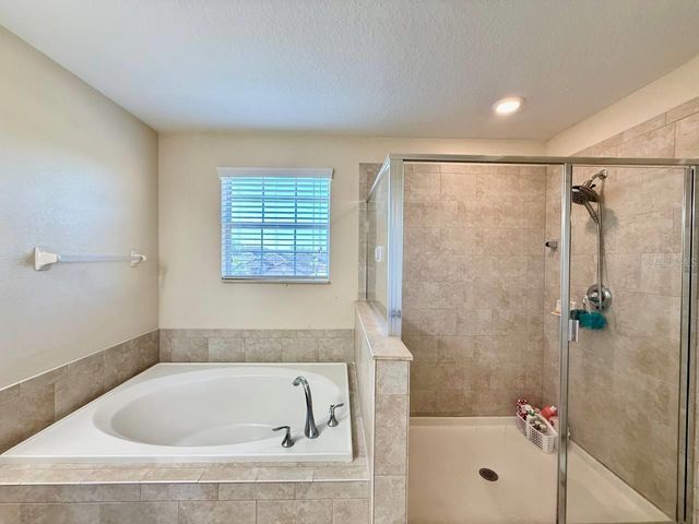12404 BALLENTRAE FOREST DRIVE, Riverview, FL 33579