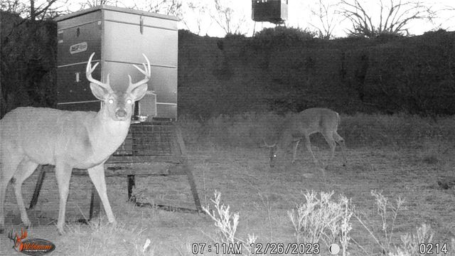 000 CR 121, Trent, TX 79561