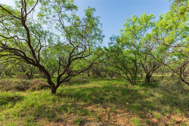 000 CR 121, Trent, TX 79561