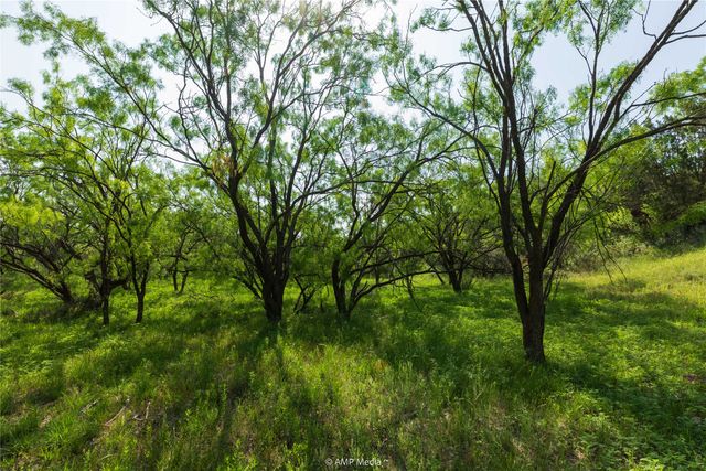 000 CR 121, Trent, TX 79561
