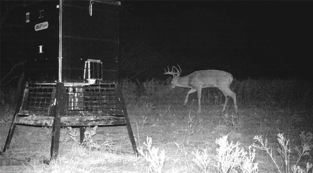 000 CR 121, Trent, TX 79561