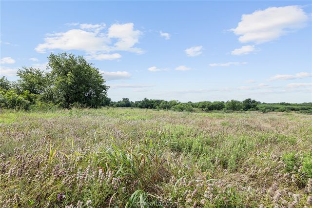 8277 Highway 90 South Highway, Anderson, TX 77868
