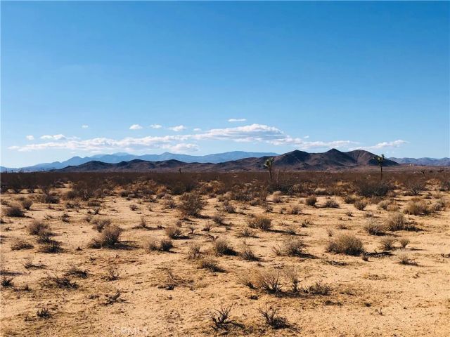 2 Venus, Joshua Tree, CA 92252