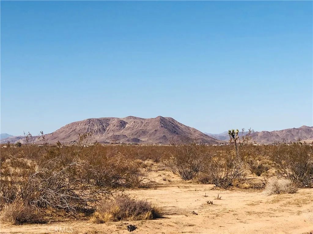 2 Venus, Joshua Tree, CA 92252