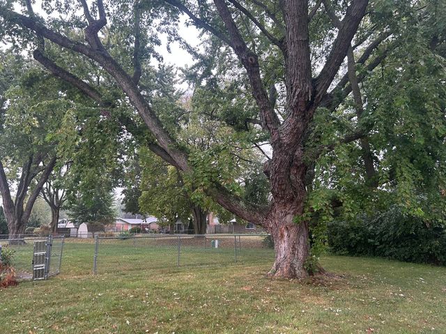 445 Wisteria Drive 445 Wisteria Drive, Troy, OH 45373