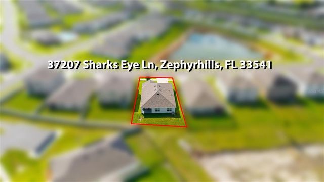 37207 SHARKS EYE LANE, Zephyrhills, FL 33541