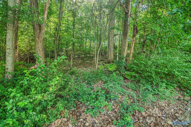 2108 Orba Drive NE, Huntsville, AL 35811