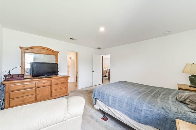 28814 Texas Plains Drive, Hockley, TX 77447