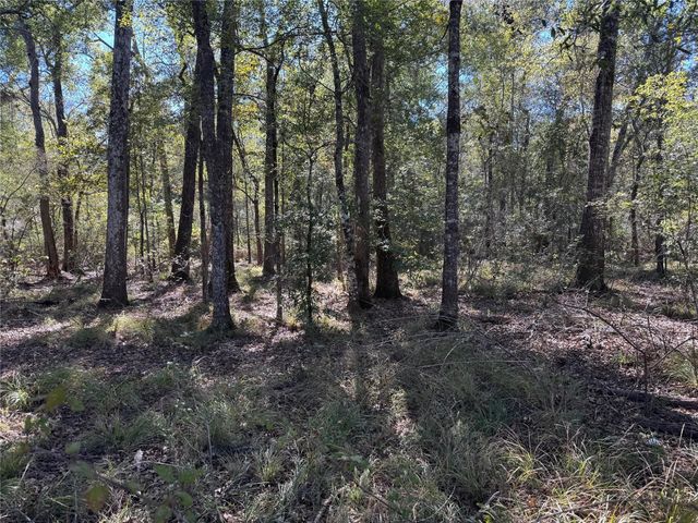 401 County Road 401, Dayton, TX 77535