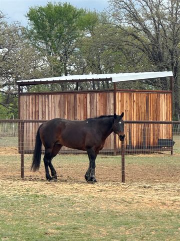 800 Private Road 1485B, Hico, TX 76457