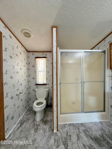 6484 Prison Camp Road, Williamston, NC 27892