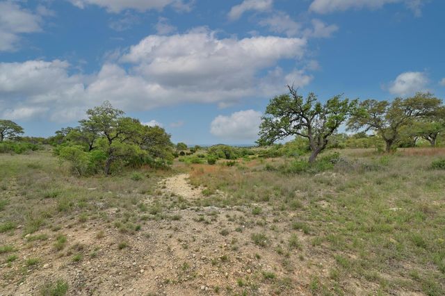 195 Cypress View DR, Johnson City, TX 78636