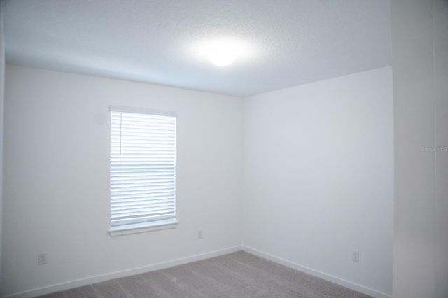 33410 BARNEBROOK DRIVE, Wesley Chapel, FL 33545