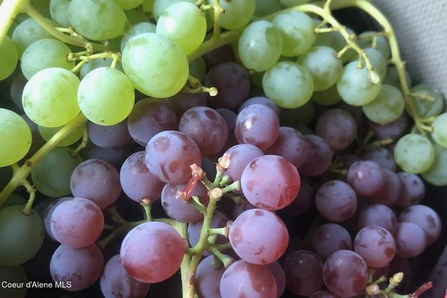 870 & 842 Samuels Rd, Sandpoint, ID 83864