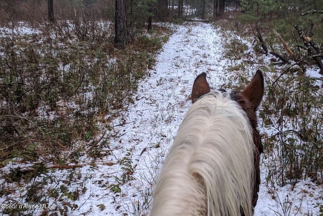 870 & 842 Samuels Rd, Sandpoint, ID 83864