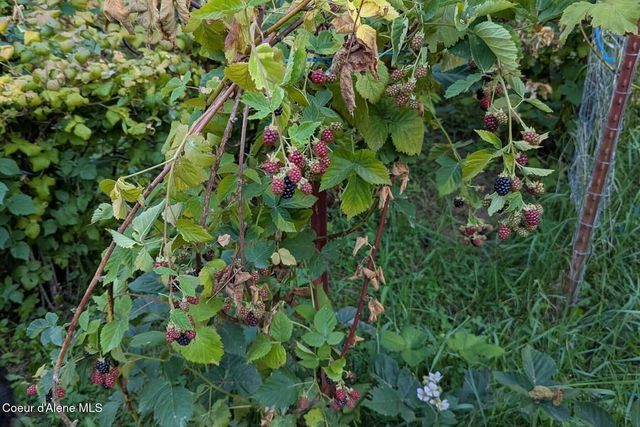 870 & 842 Samuels Rd, Sandpoint, ID 83864