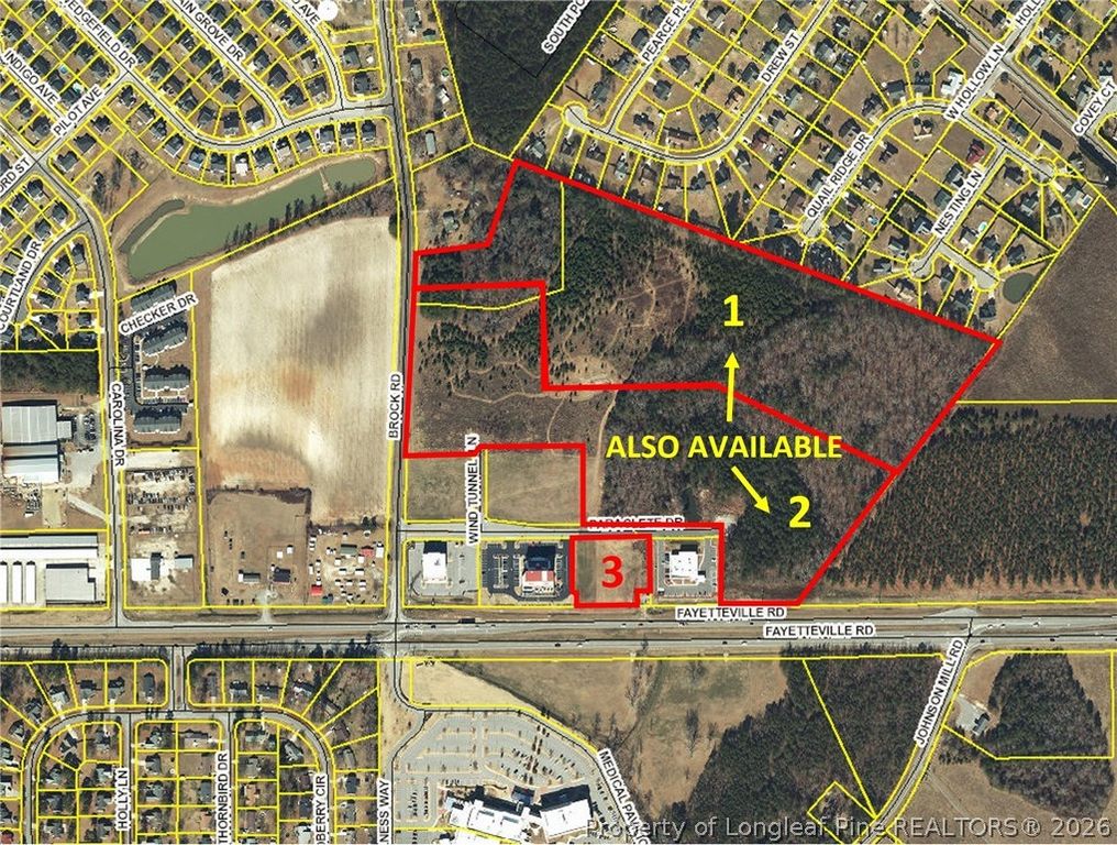 Brock Road, Raeford, NC 28376 — photo 5