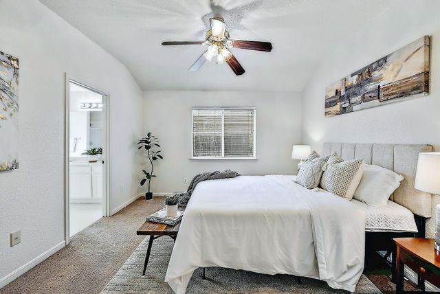 117 Rosemary CV, Georgetown, TX 78626