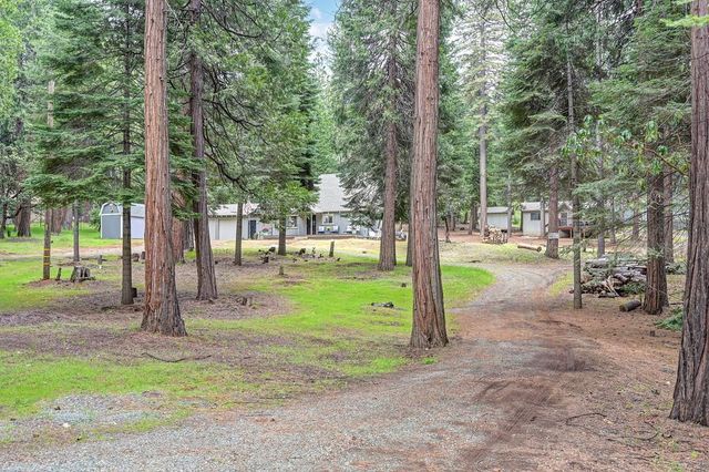 19380 Amador Ave, Pioneer, CA 95666