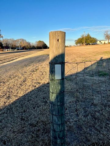 12195 FM 3226, Arp, TX 75750