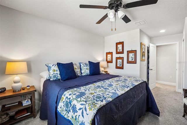 1005 NIGHT SONG STREET, Valrico, FL 33594