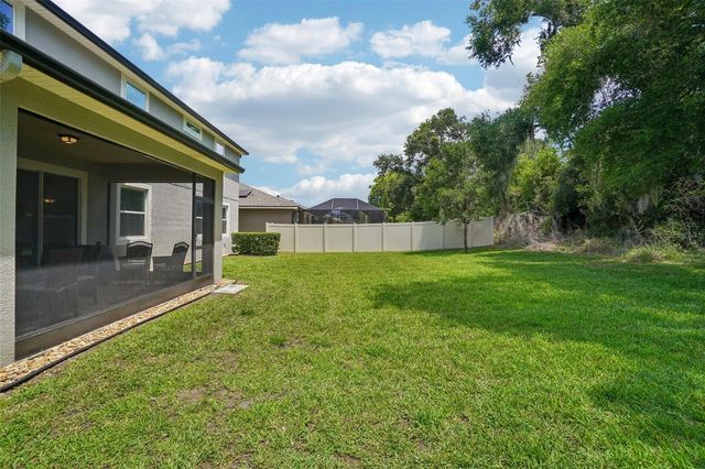 1005 NIGHT SONG STREET, Valrico, FL 33594