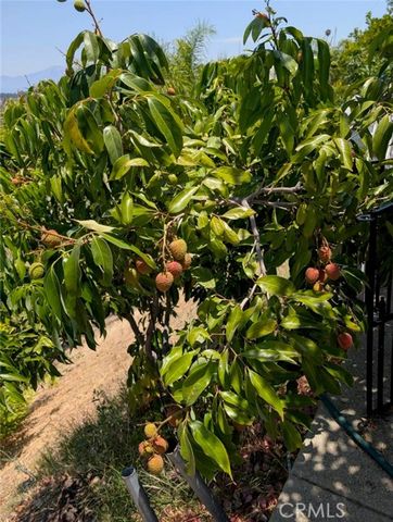 1905 Vascones, Hacienda Heights, CA 91745