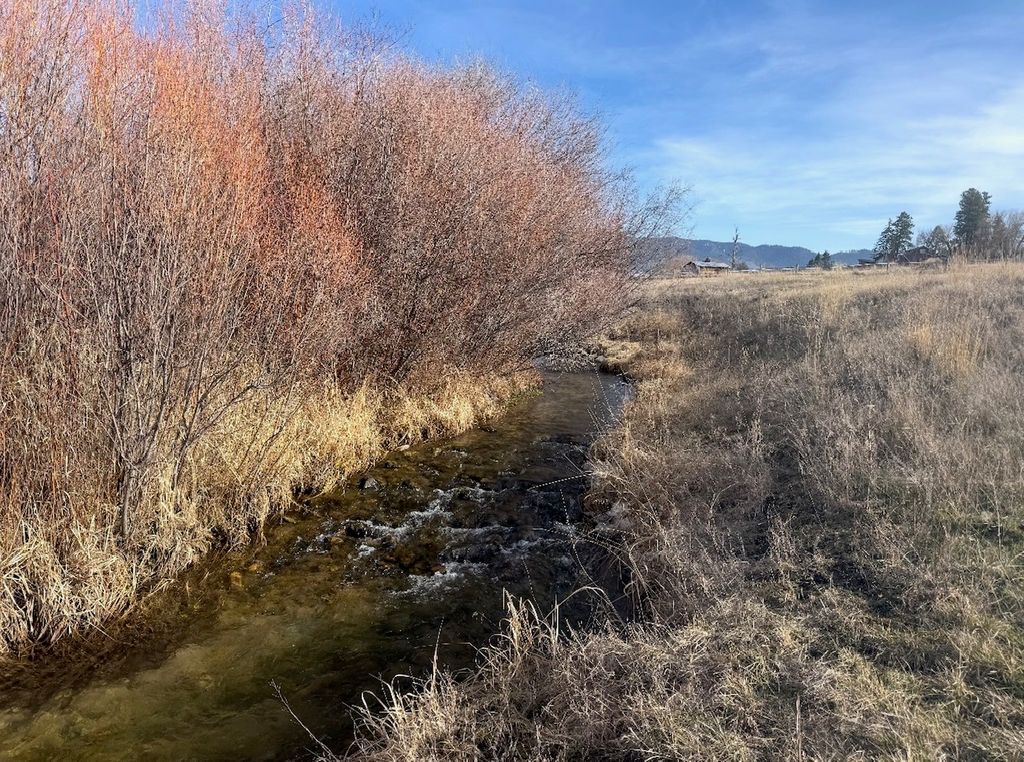 780 and 770 Mason Lane, Corvallis, MT 59828 photo 46
